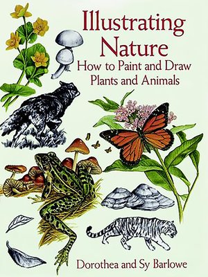 cover image of Illustrating Nature